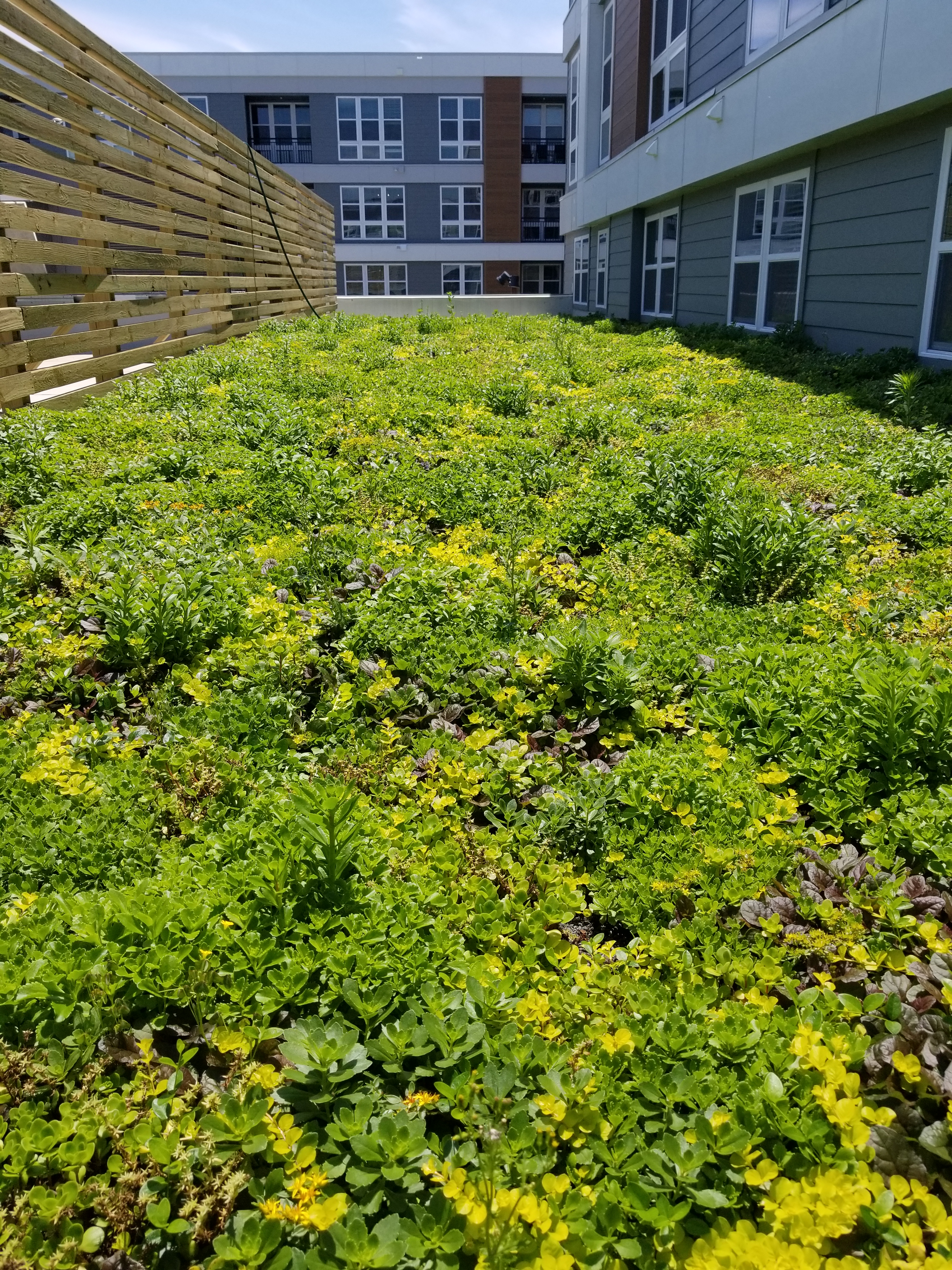 VR3King of Prussia, PA VR3King of Prussia, PA