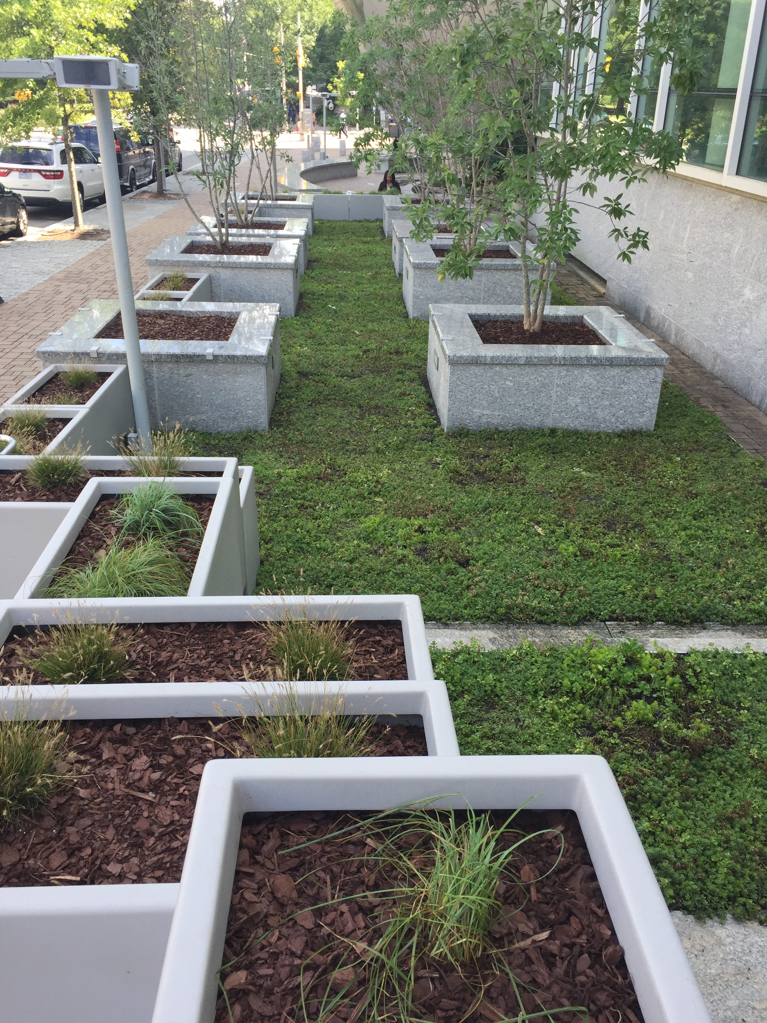 Nature Research Center Raleigh, NC Nature Research Center Raleigh, NC