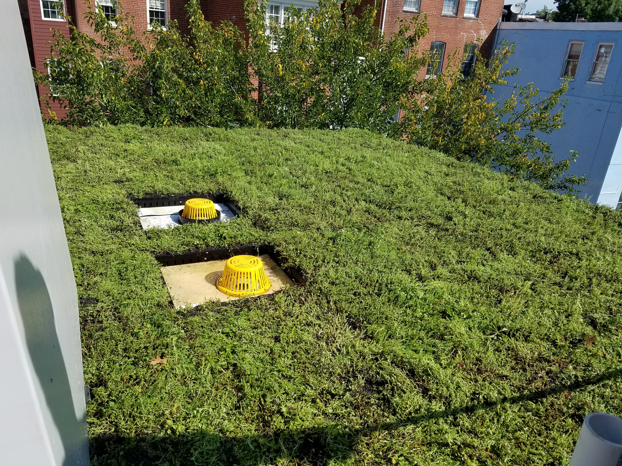 Private Residence Washington, DC