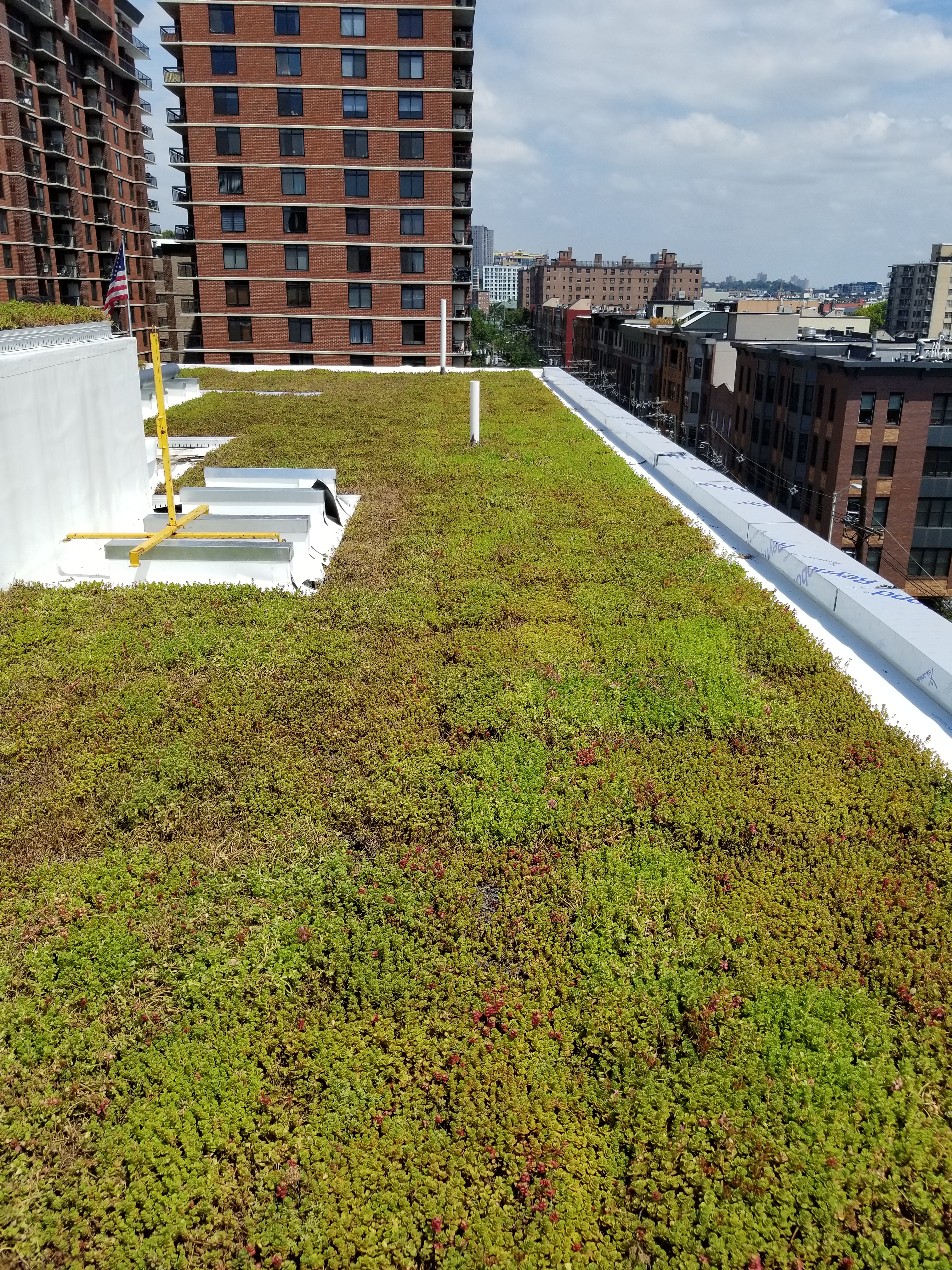 100 Patterson AveHoboken, NJ