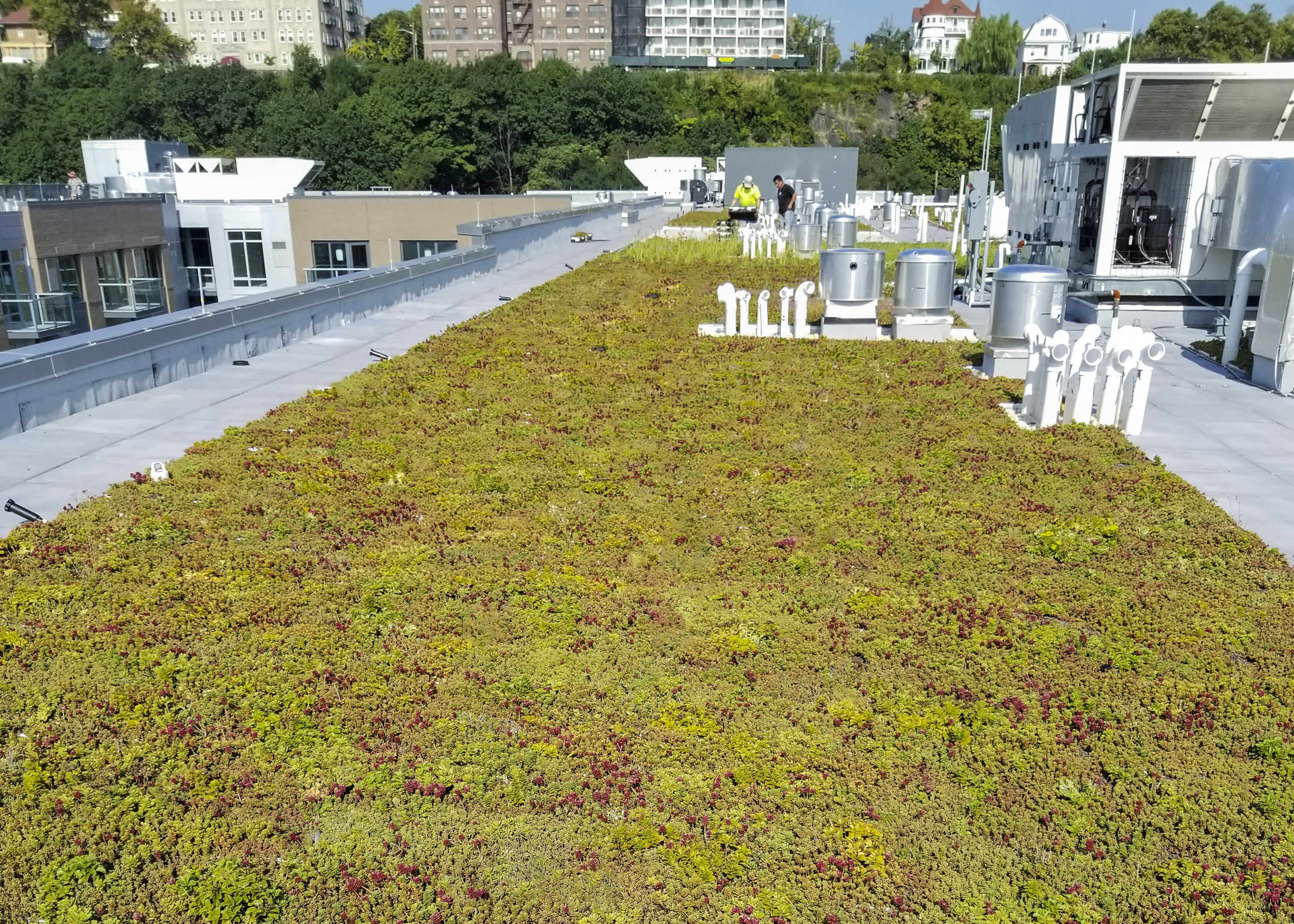 Port Imperial Building 11Weehawken, NJ