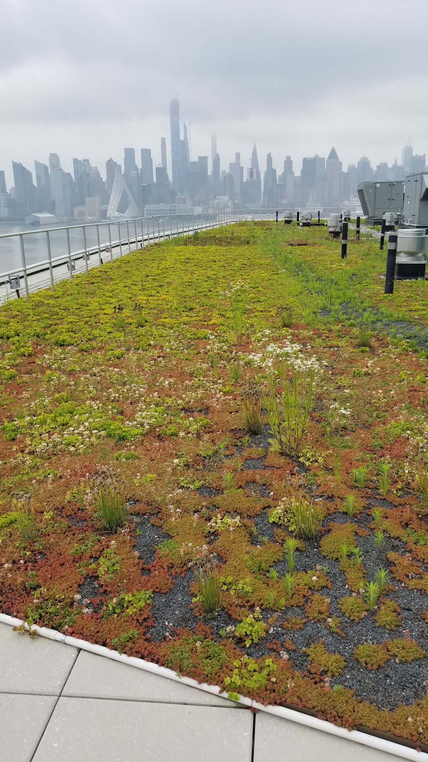 Port Imperial Building 7Weehawken, NJ