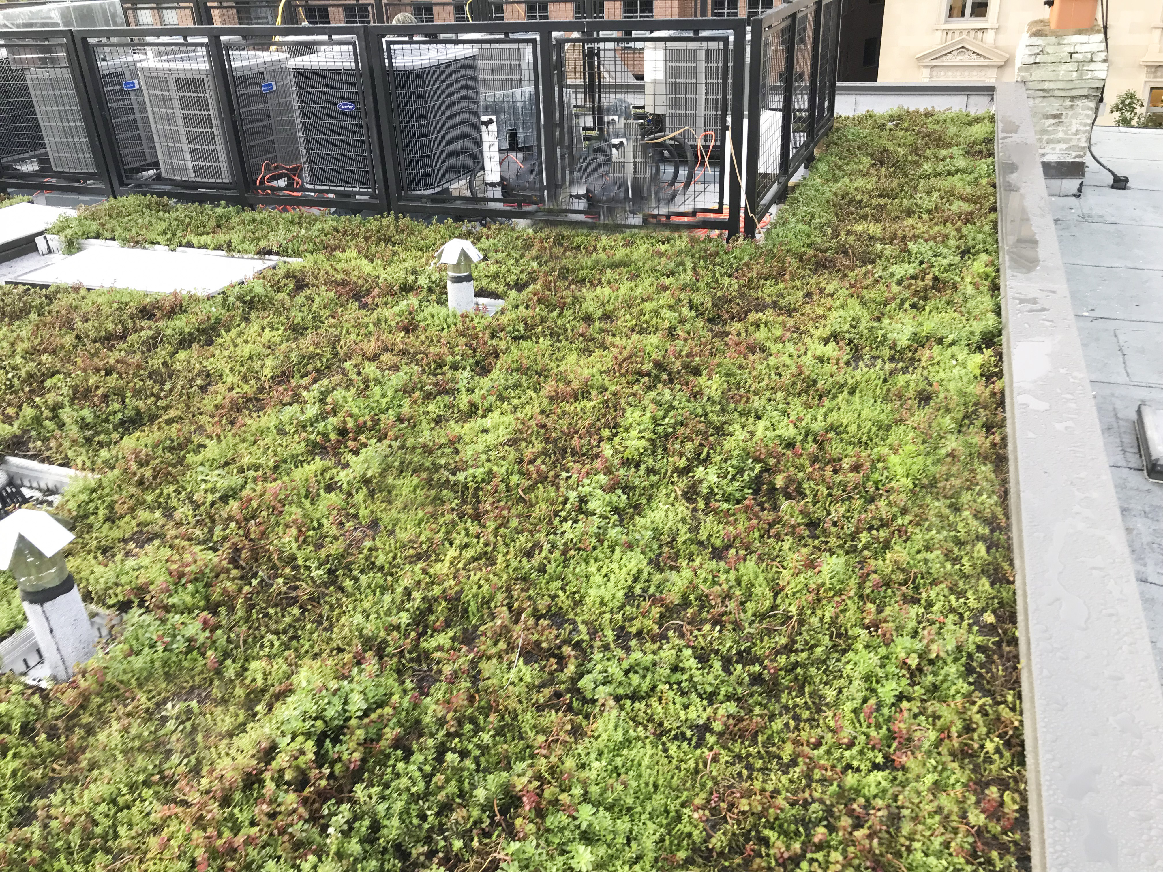 1759-1761 P StWashington, DC