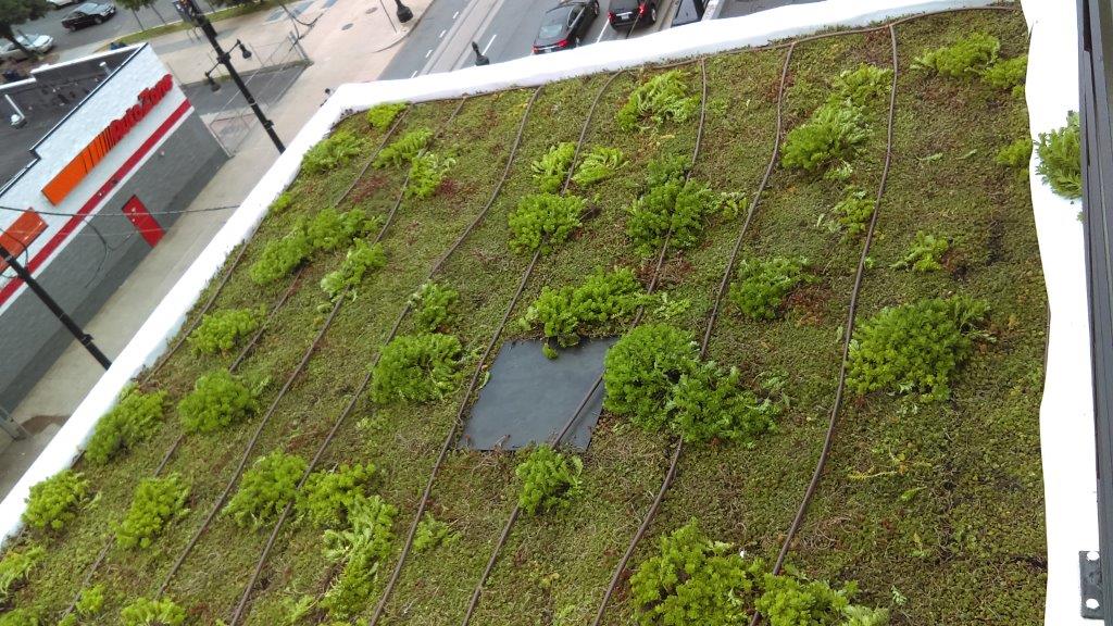 1214 H StWashington, DC