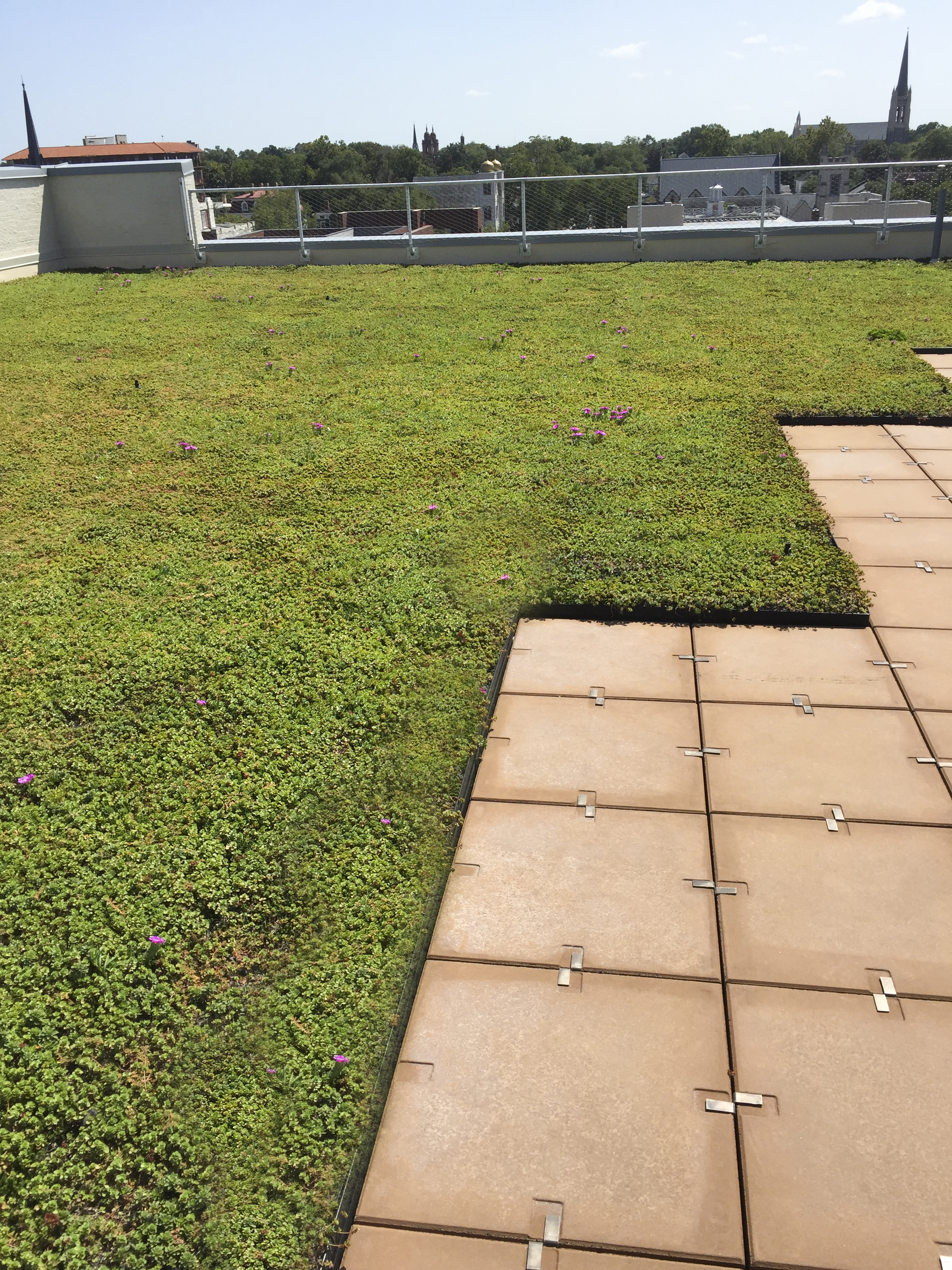 320 Chestnut StWilmington, NC