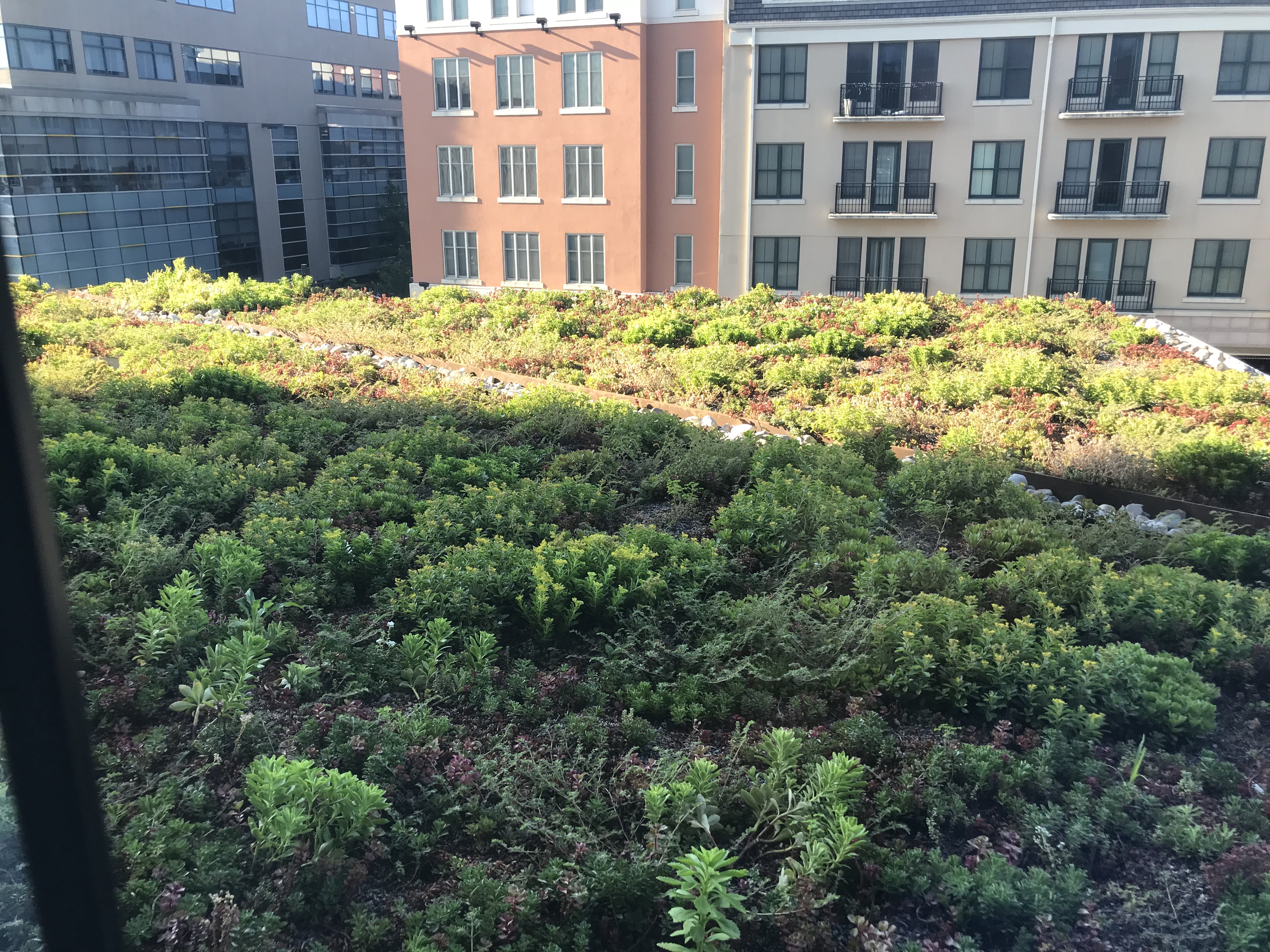 Kettlers Rockville Town CenterRockville, MD