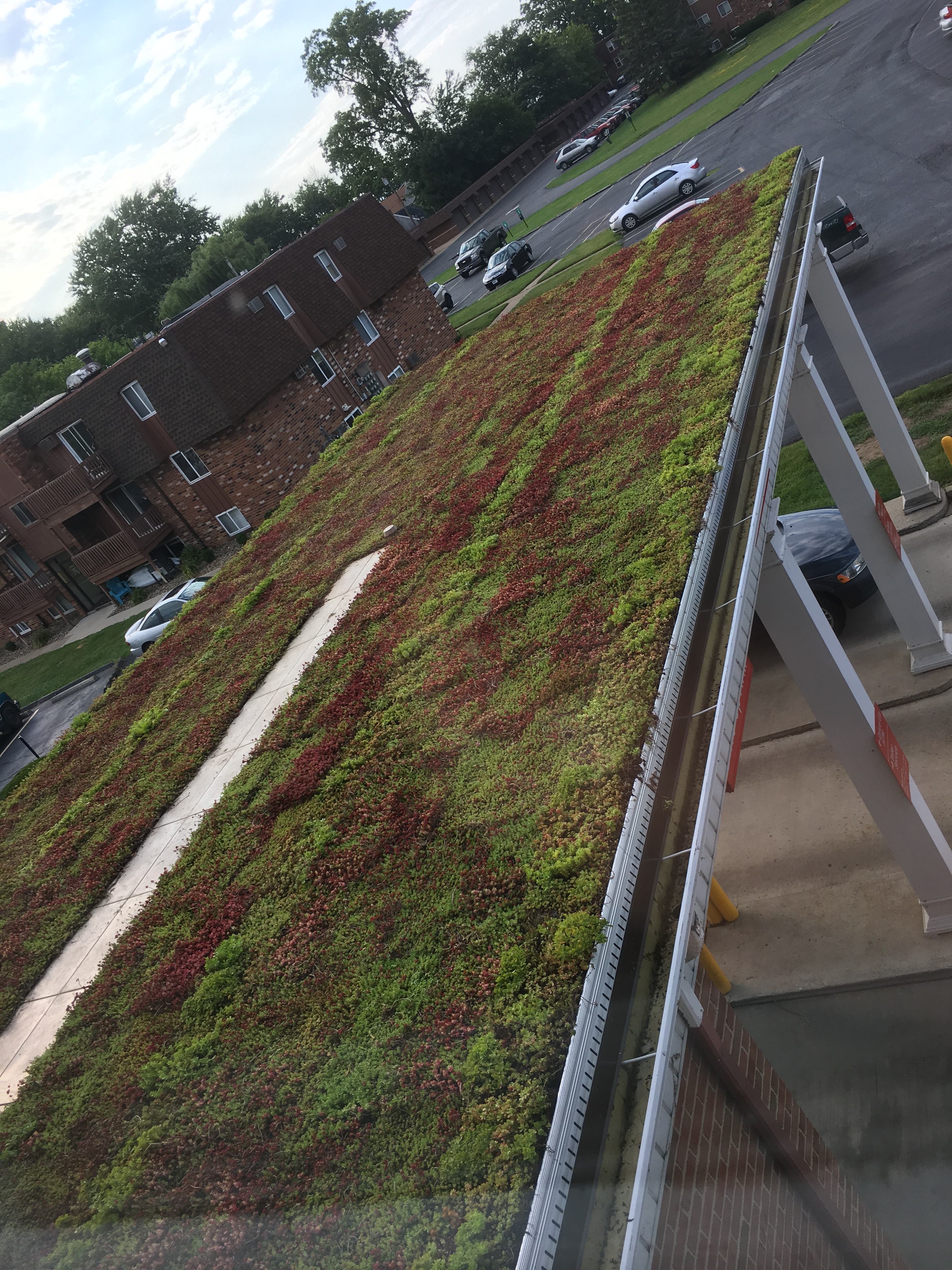 Cabbage, IncVermilion, OH