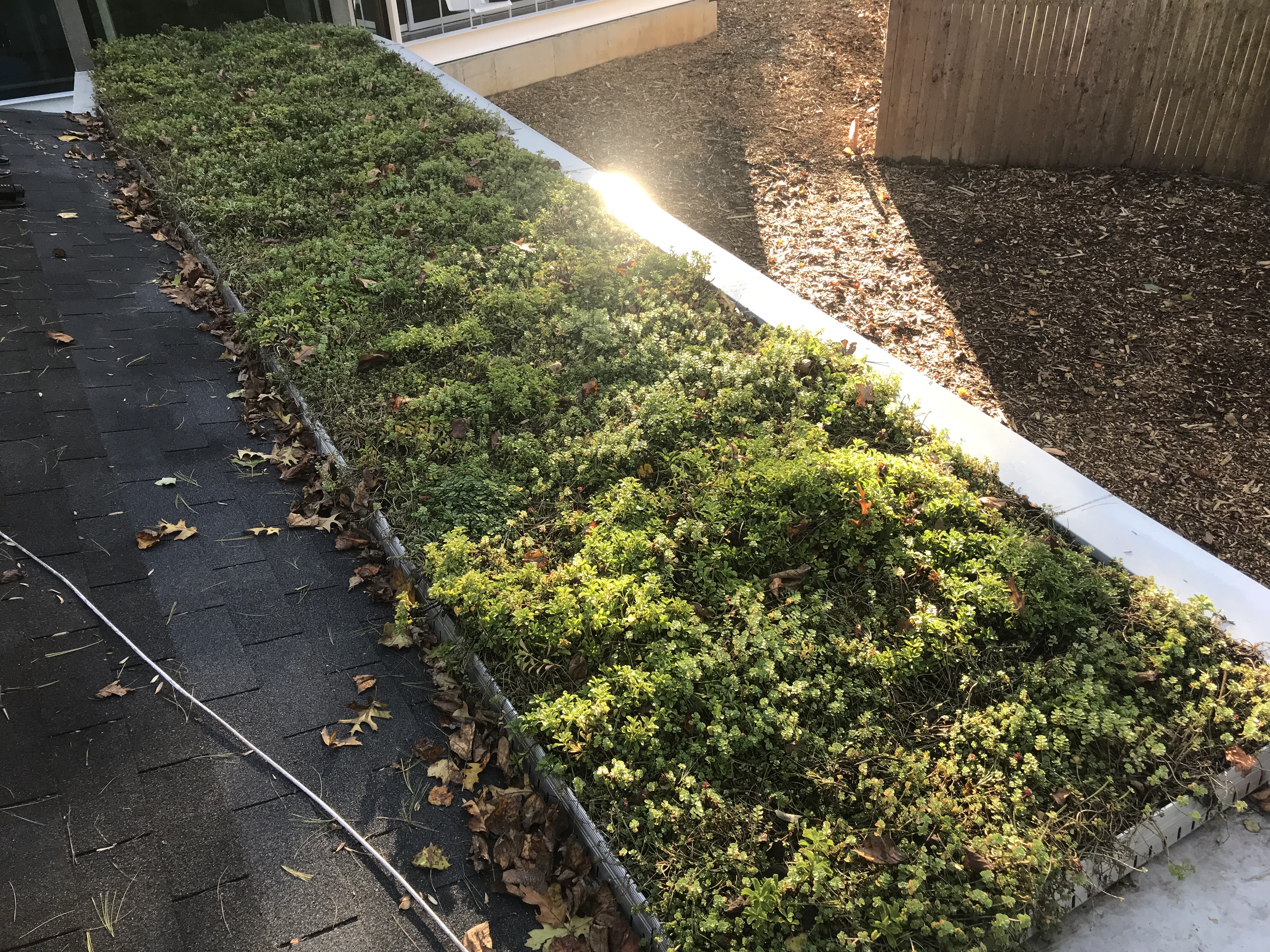 Private ResidenceSilver Spring, MD