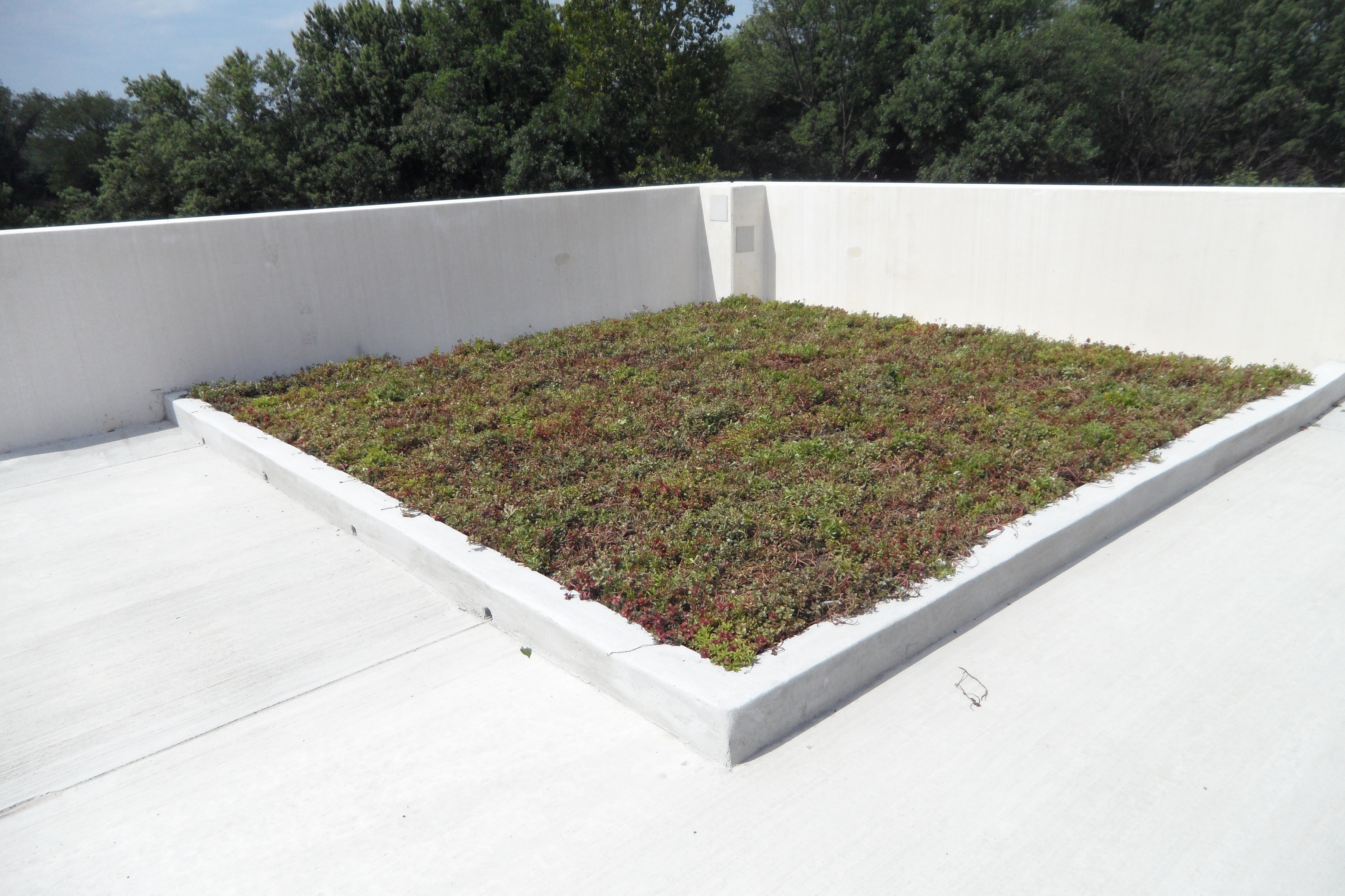 Bill Page HondaFalls Church, VA