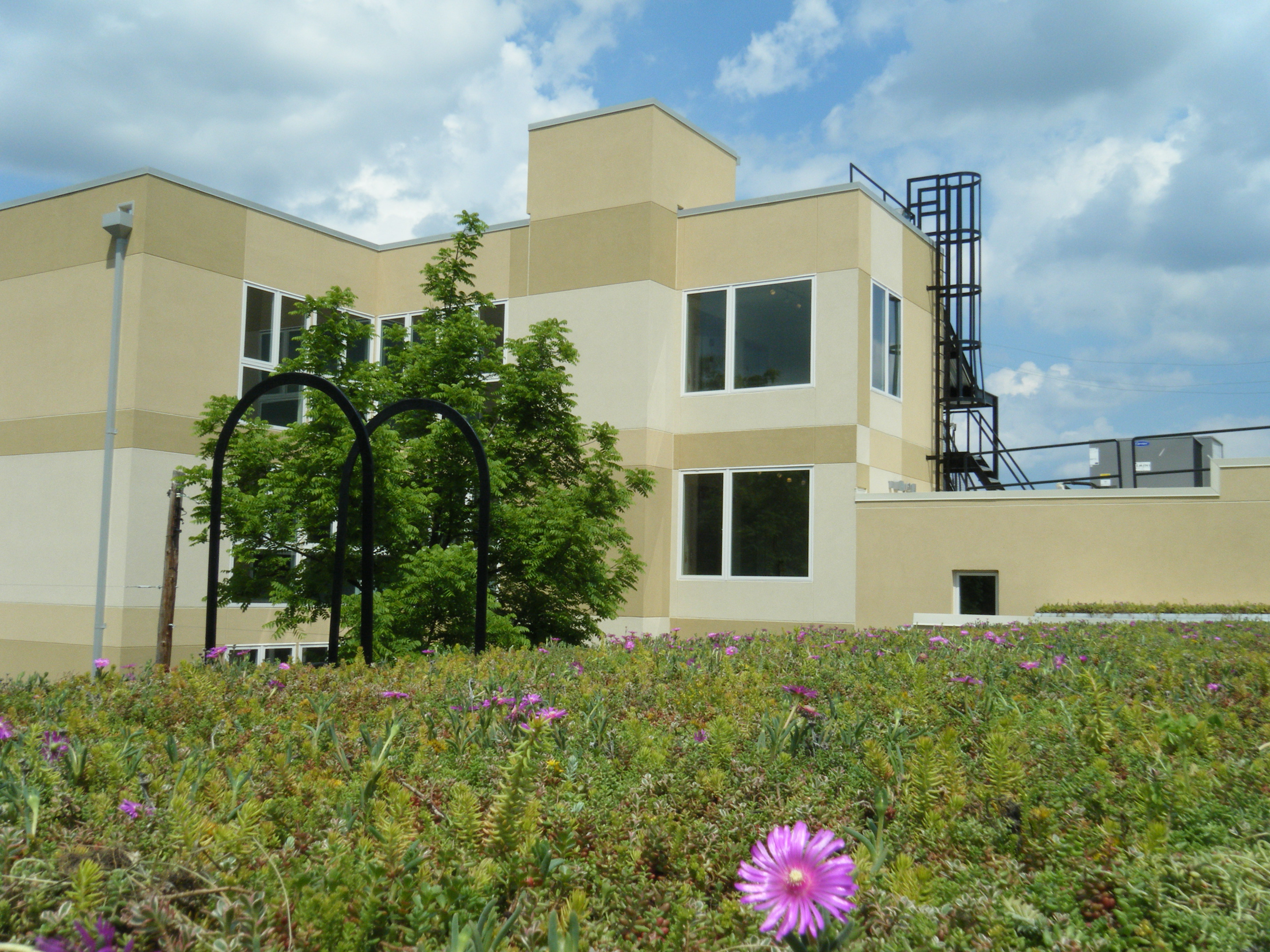 4328 Farragut StHyattsville, MD 4328 Farragut StHyattsville, MD