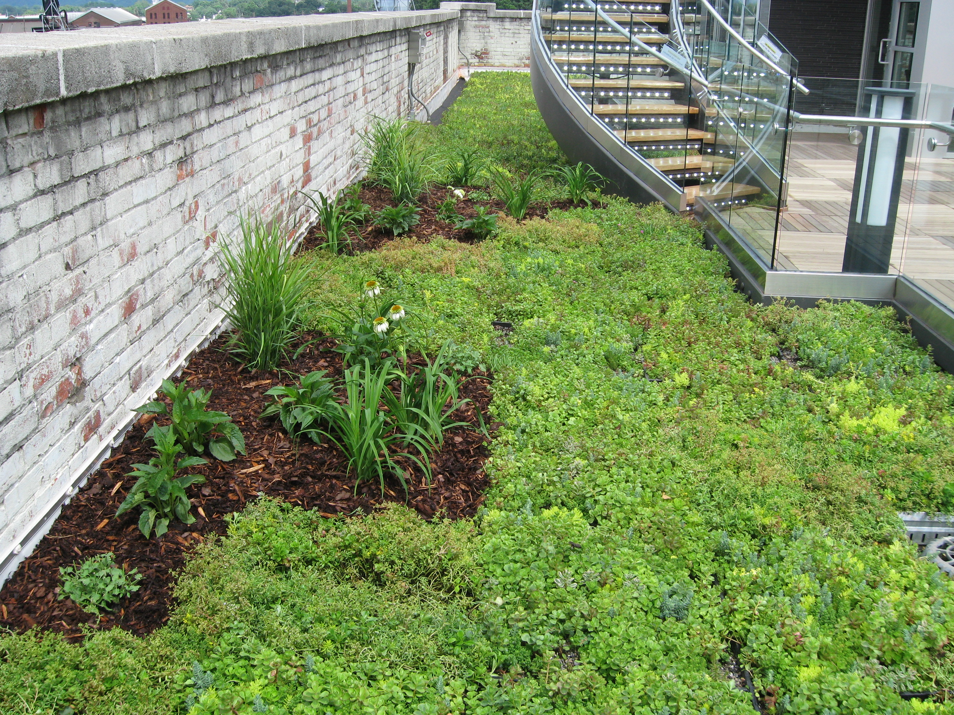 Center in the SquareRoanoke, VA