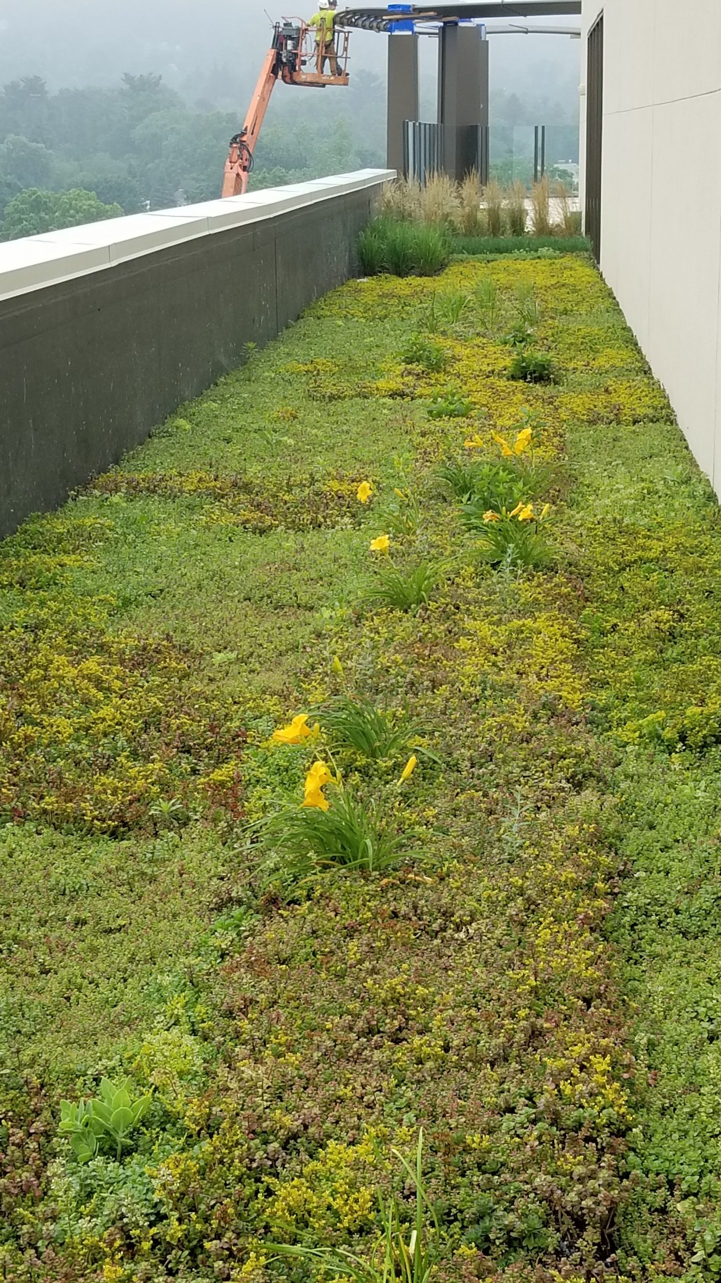 Centroverde MontclairMontclair, NJ Centroverde MontclairMontclair, NJ