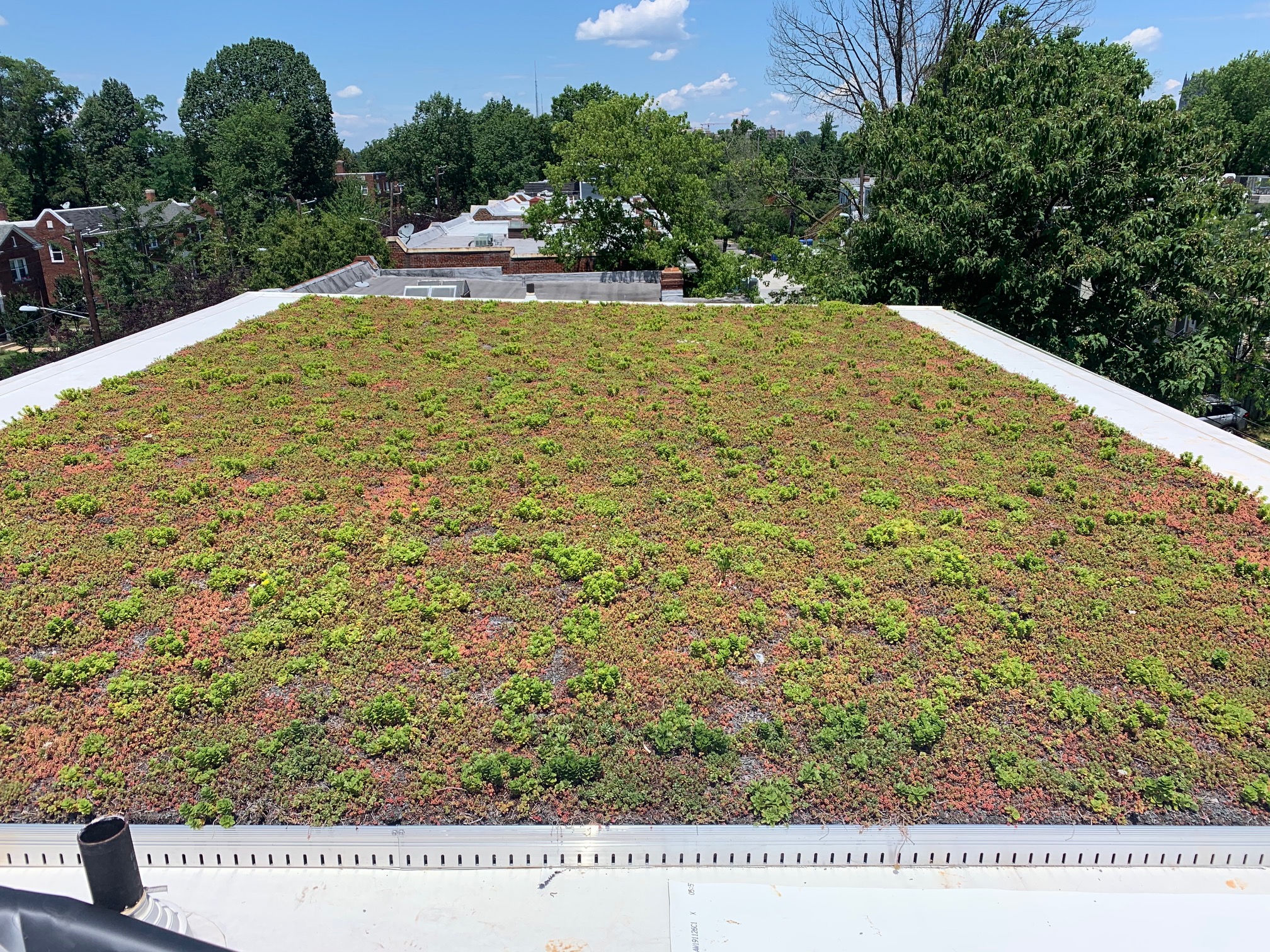 2205 40th PlWashington DC