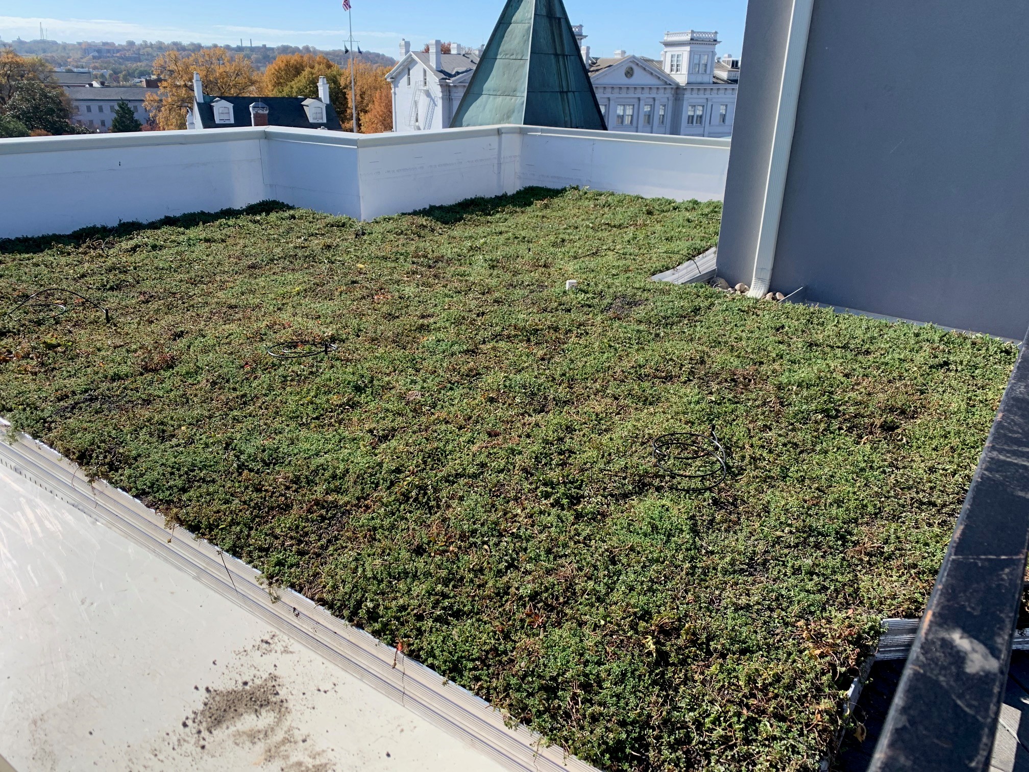 816 Potomac AveWashington DC