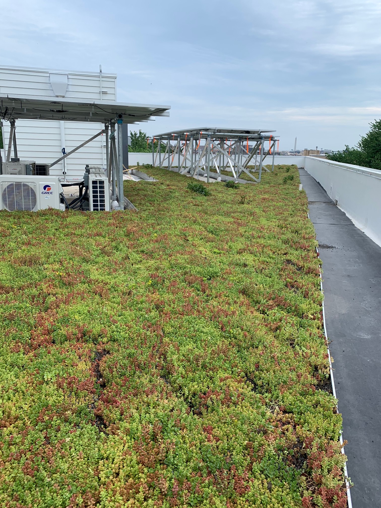 1731 KaloramaWashington DC